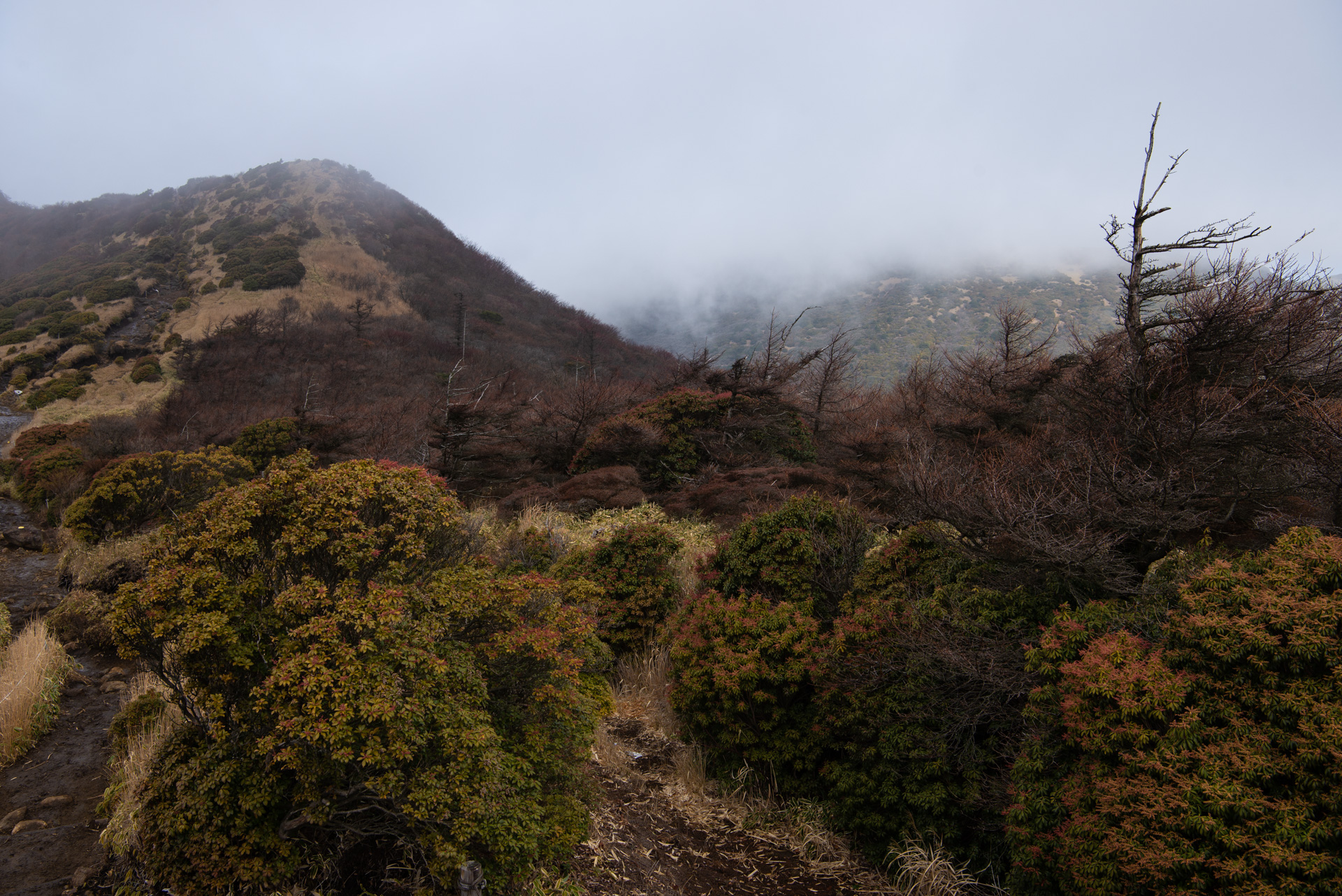 星生山　山行メモ