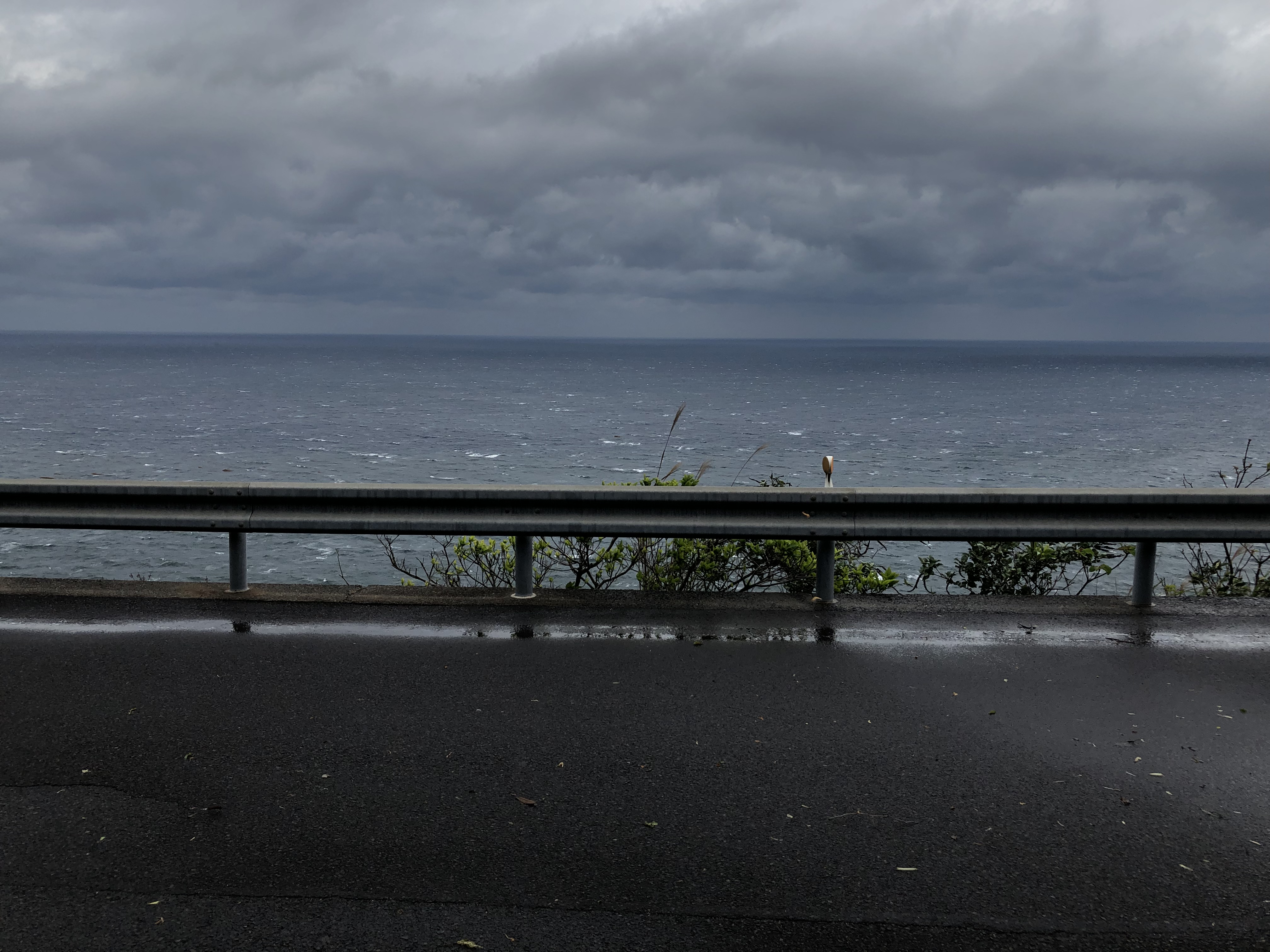 西部林道から見た海