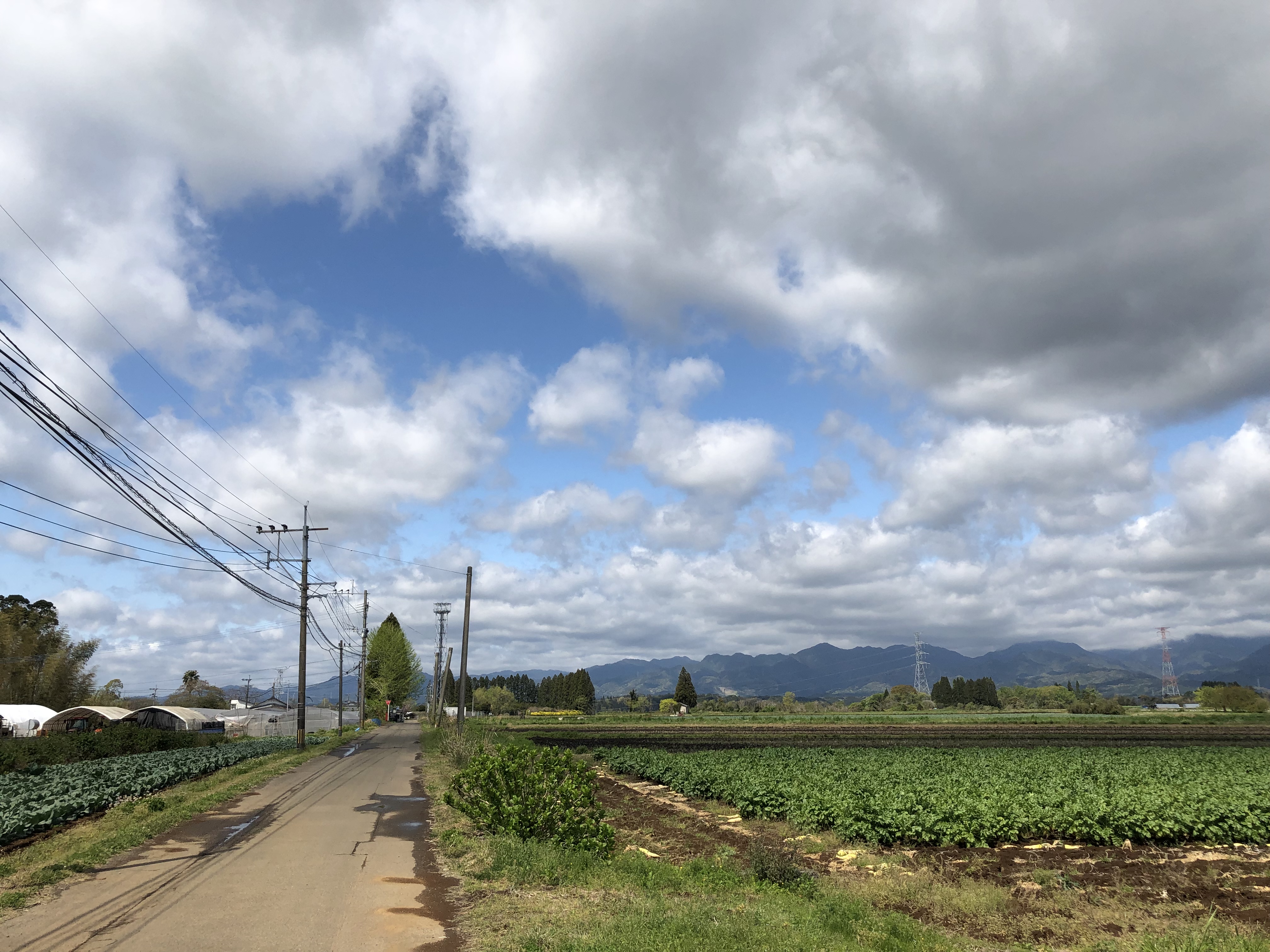 とある農村風景