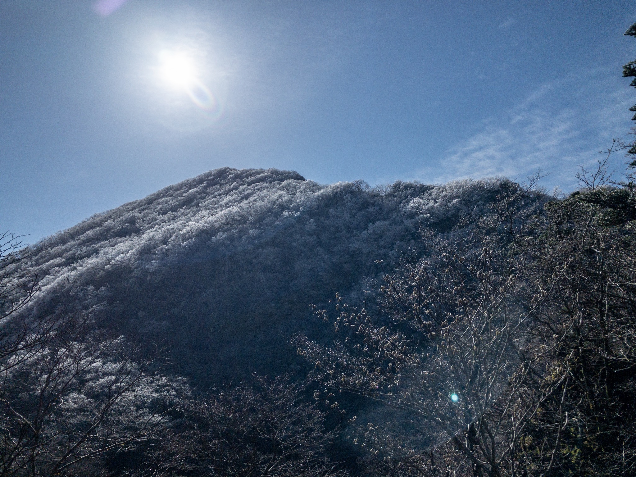 霧氷で輝くチチ山